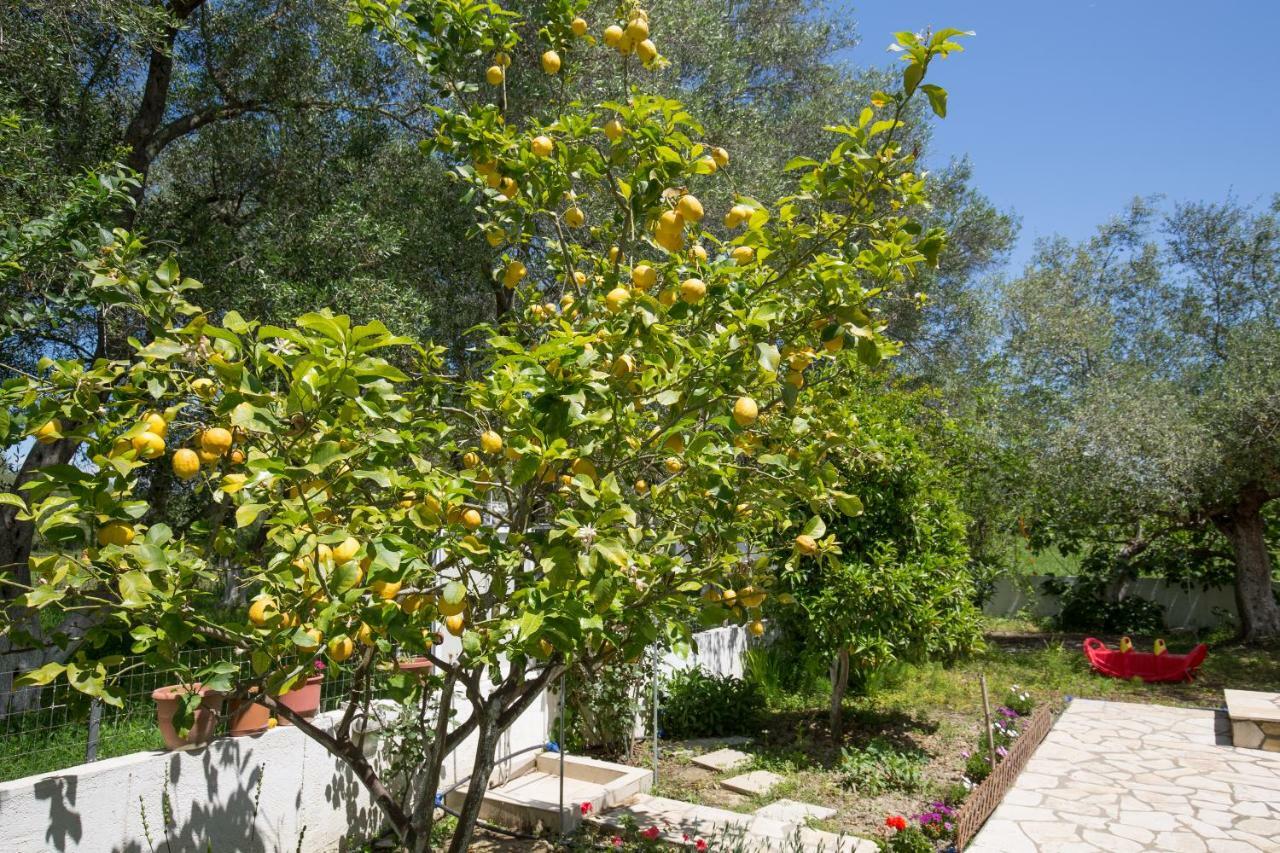 Karia Holiday Home Lefkímmi Eksteriør billede